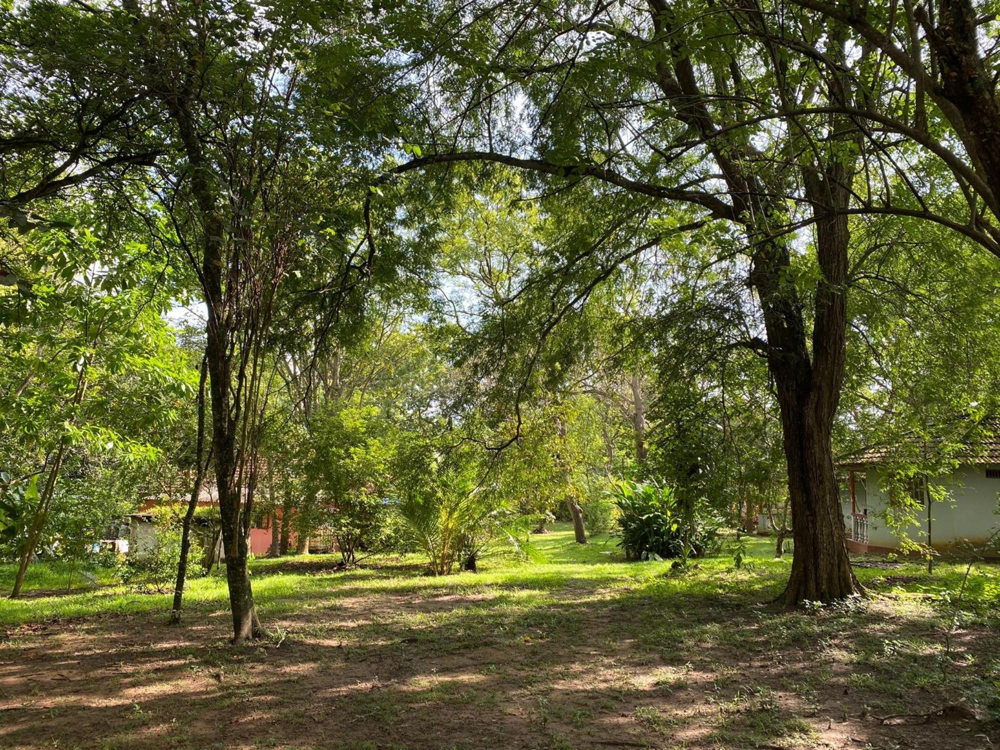 Calm Garden Cabanas Tangalle Εξωτερικό φωτογραφία