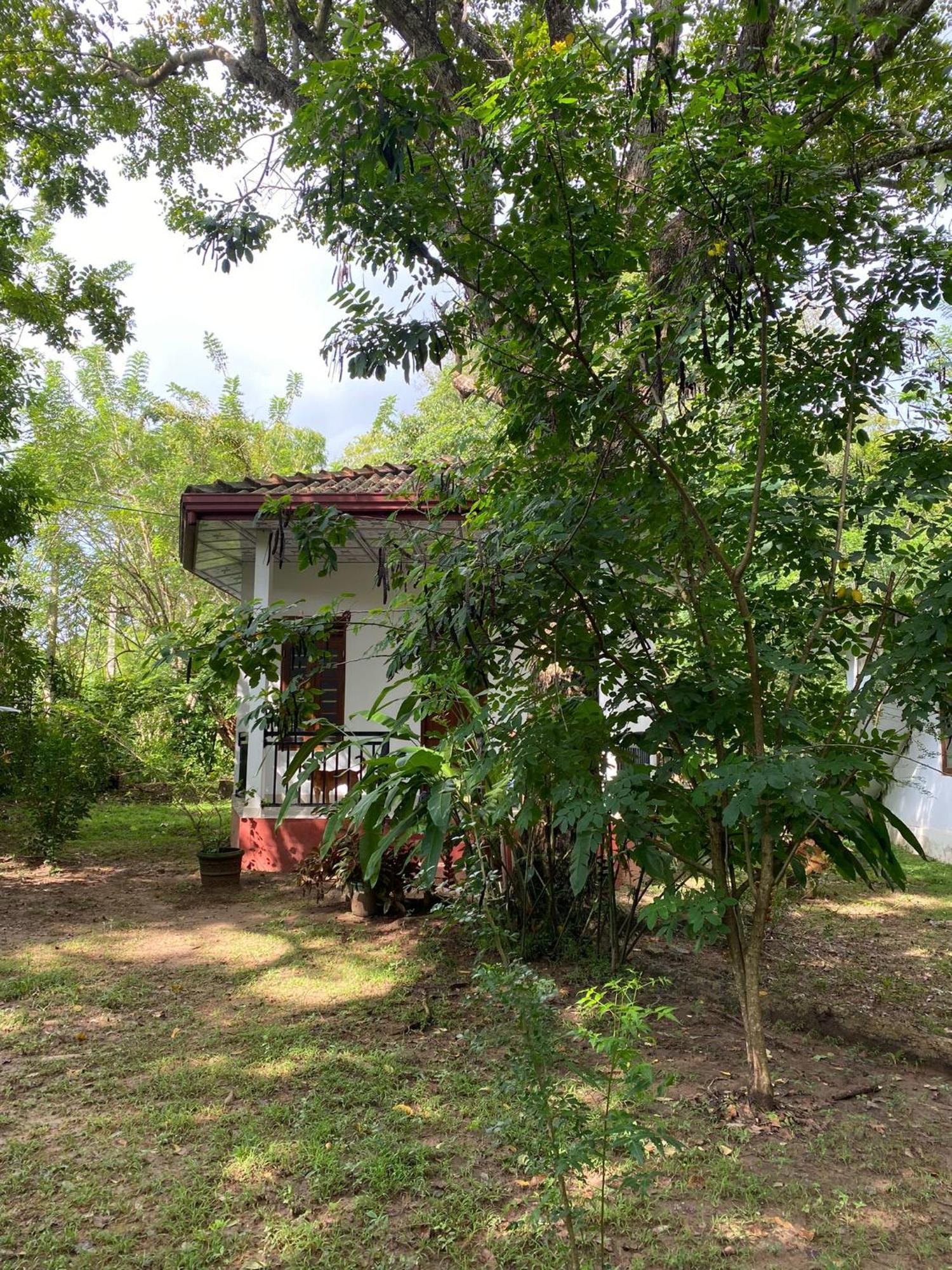 Calm Garden Cabanas Tangalle Εξωτερικό φωτογραφία