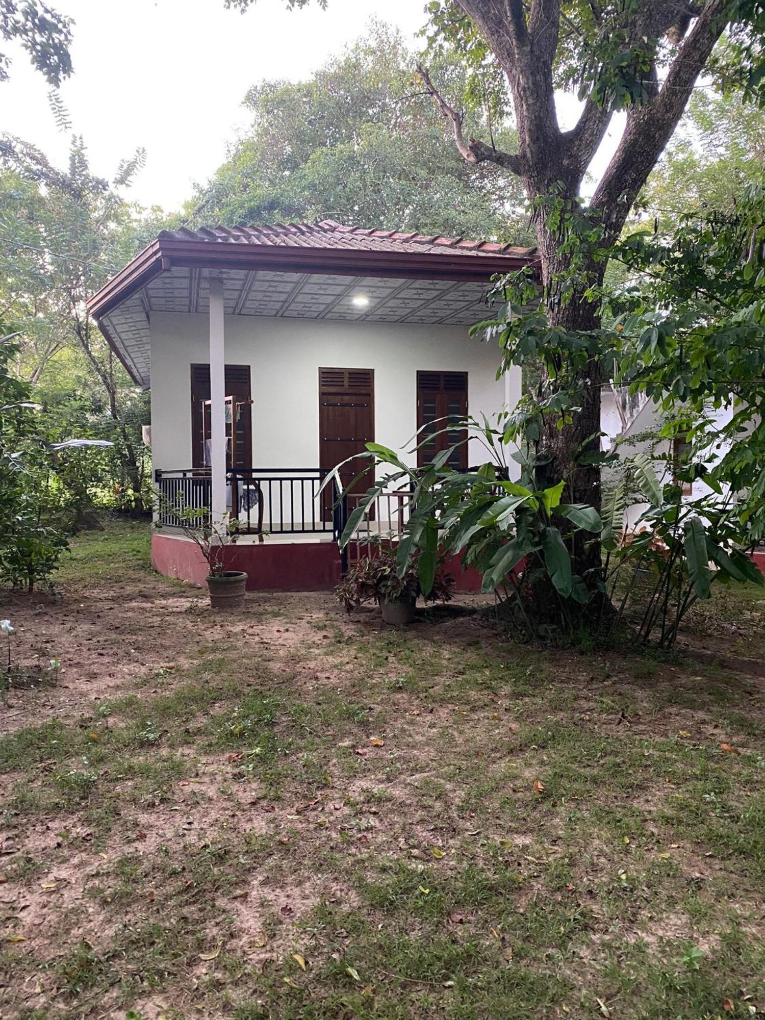 Calm Garden Cabanas Tangalle Εξωτερικό φωτογραφία