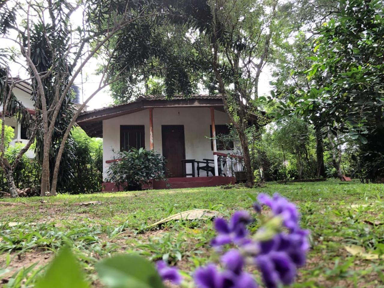 Calm Garden Cabanas Tangalle Εξωτερικό φωτογραφία