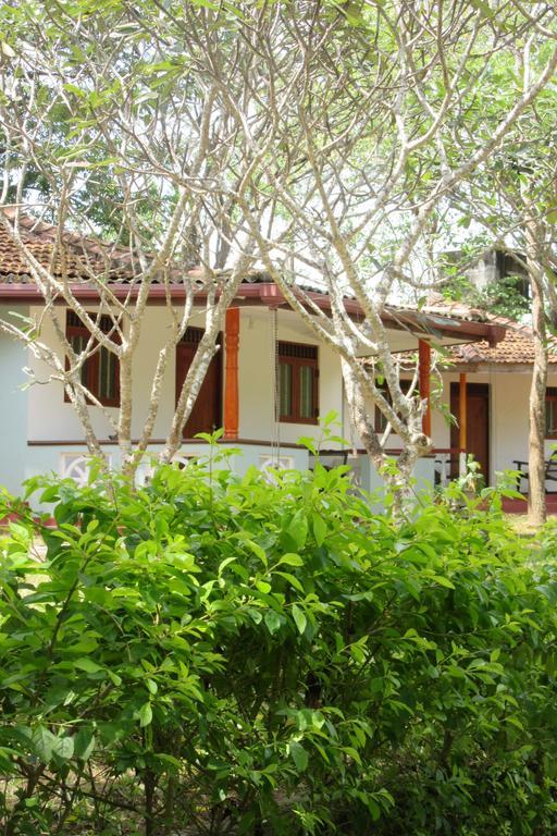 Calm Garden Cabanas Tangalle Εξωτερικό φωτογραφία