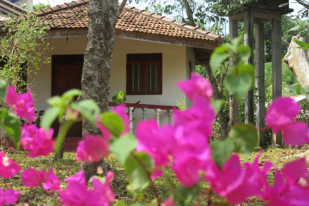 Calm Garden Cabanas Tangalle Εξωτερικό φωτογραφία