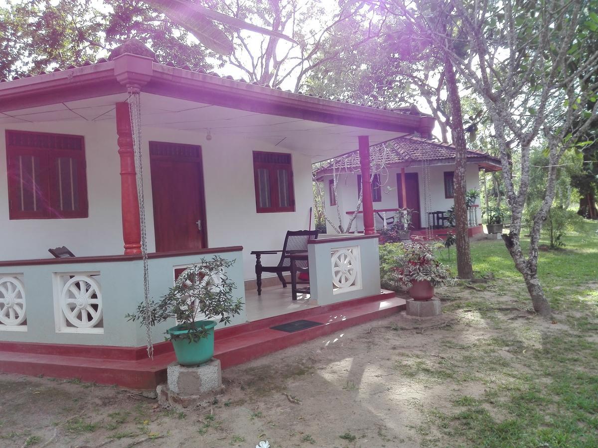 Calm Garden Cabanas Tangalle Εξωτερικό φωτογραφία