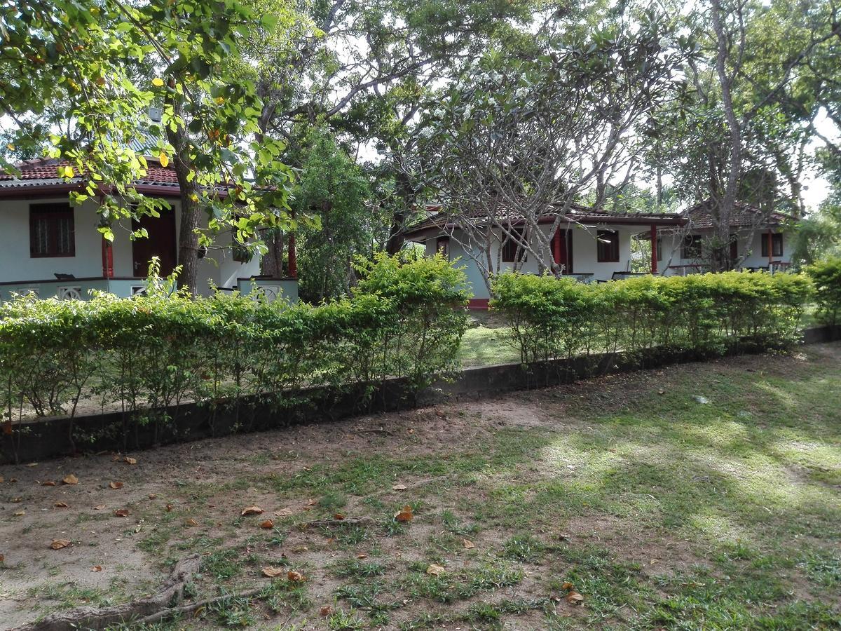 Calm Garden Cabanas Tangalle Εξωτερικό φωτογραφία