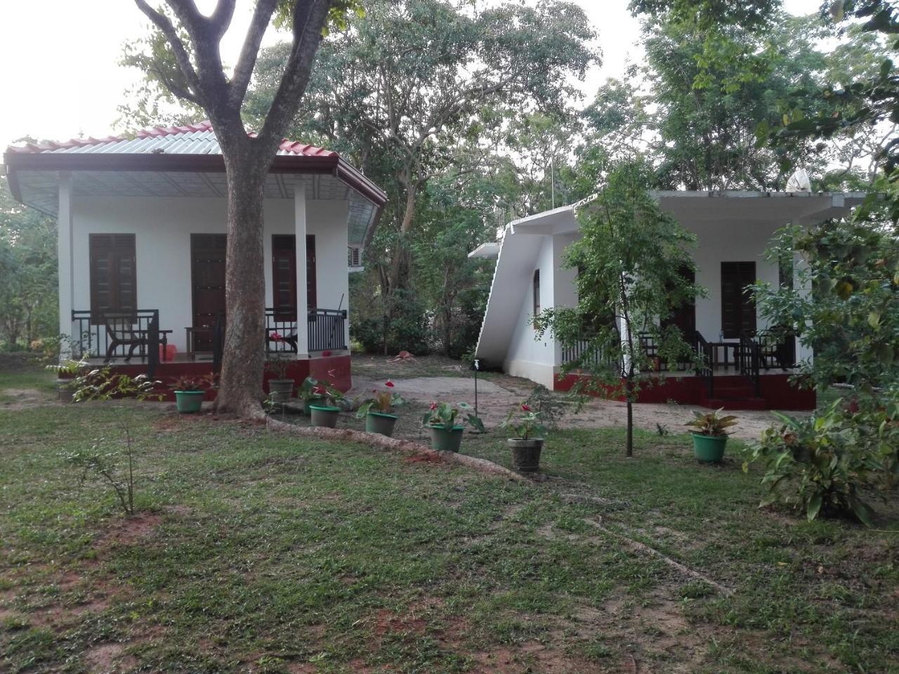 Calm Garden Cabanas Tangalle Εξωτερικό φωτογραφία