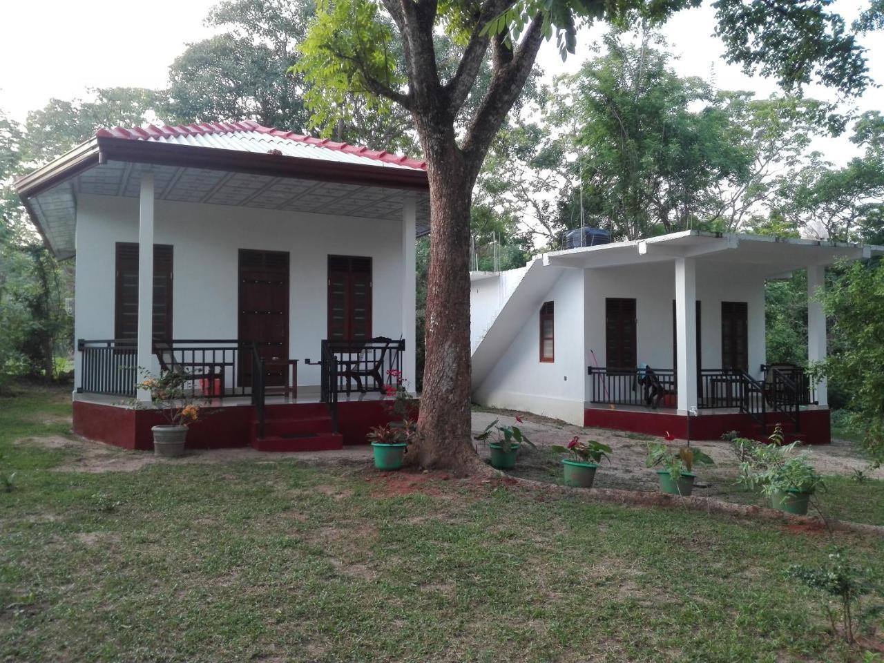 Calm Garden Cabanas Tangalle Εξωτερικό φωτογραφία