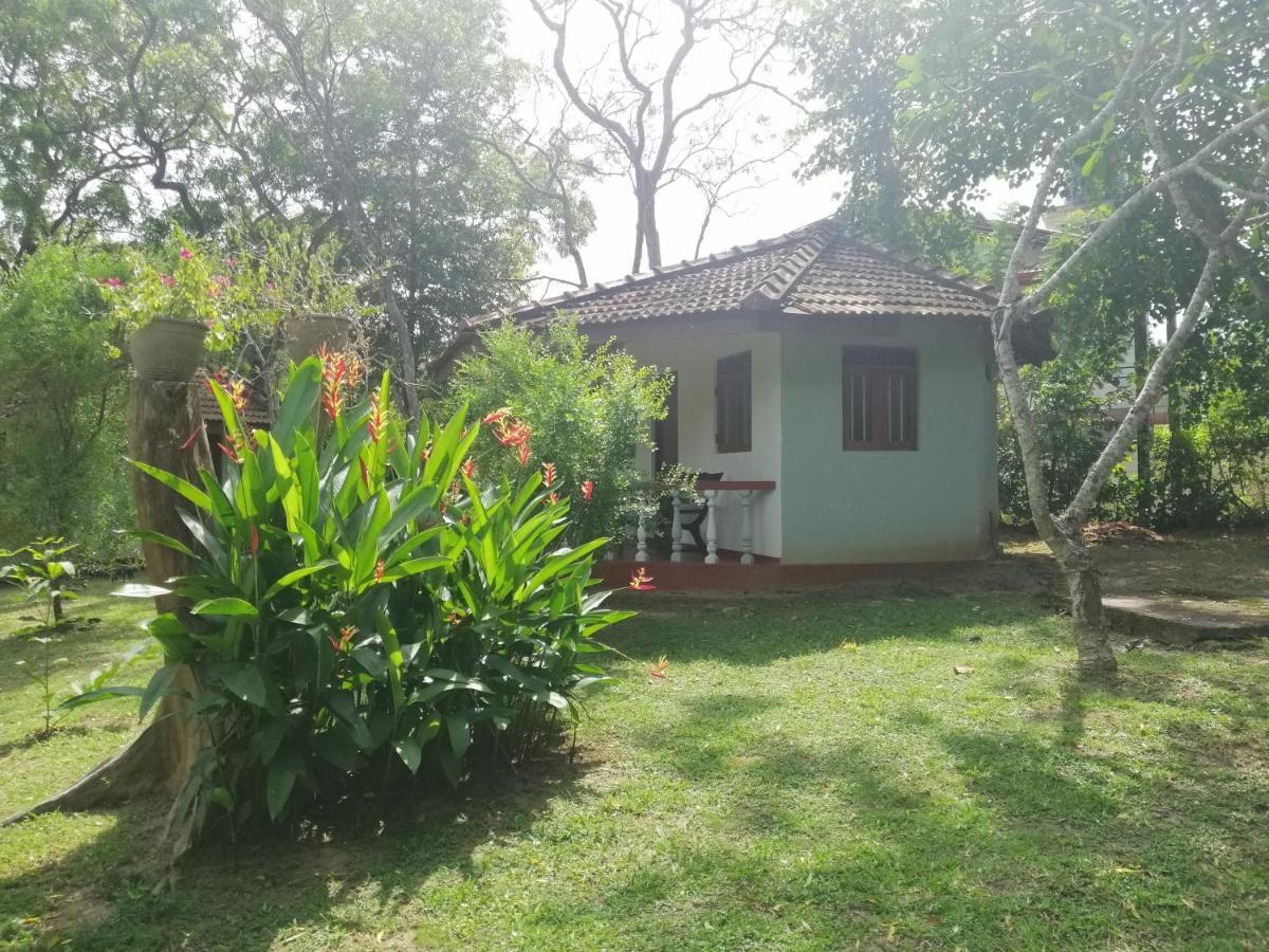 Calm Garden Cabanas Tangalle Εξωτερικό φωτογραφία